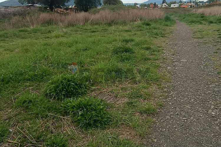 "inversión: terreno en curacautín," - Imagen 11