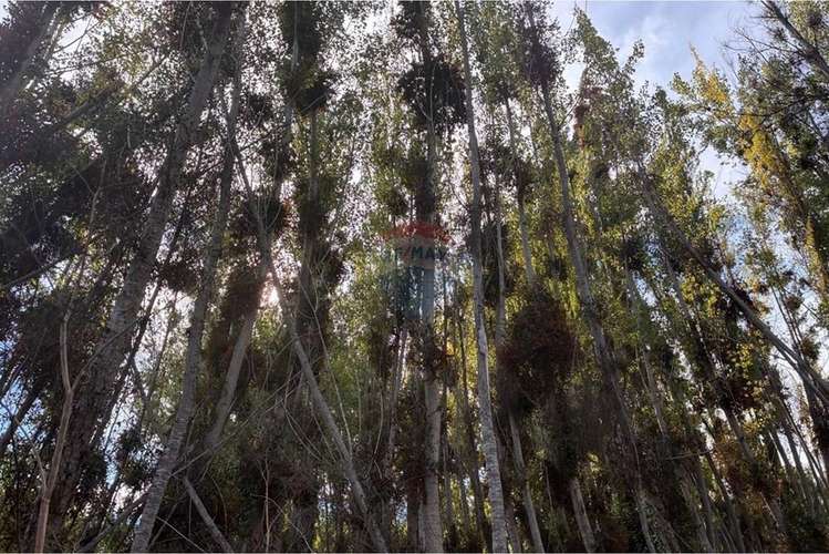 “terreno agrícola en venta en coltauco"