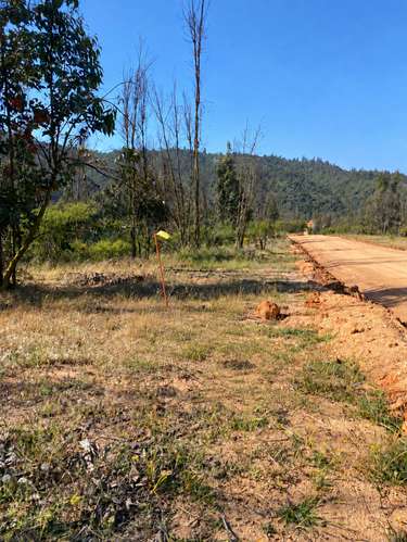 VENTA PARCELA VALLE VERDE MAR 8000 MT2, LIMACHE - Imagen 4