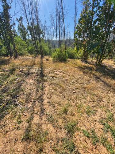 VENTA PARCELA VALLE VERDE MAR 8000 MT2, LIMACHE - Imagen 11