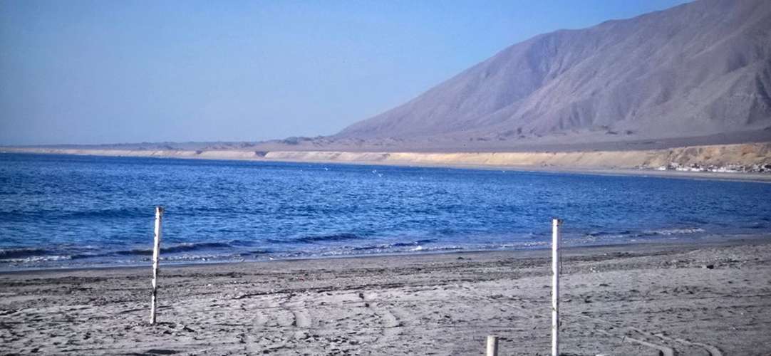 VENTA LINDA HORNITOS MEJILLONES - Imagen 23