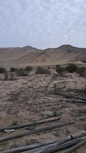 PARCELA SECTOR CHAMONATE SECTOR TRANQUILO