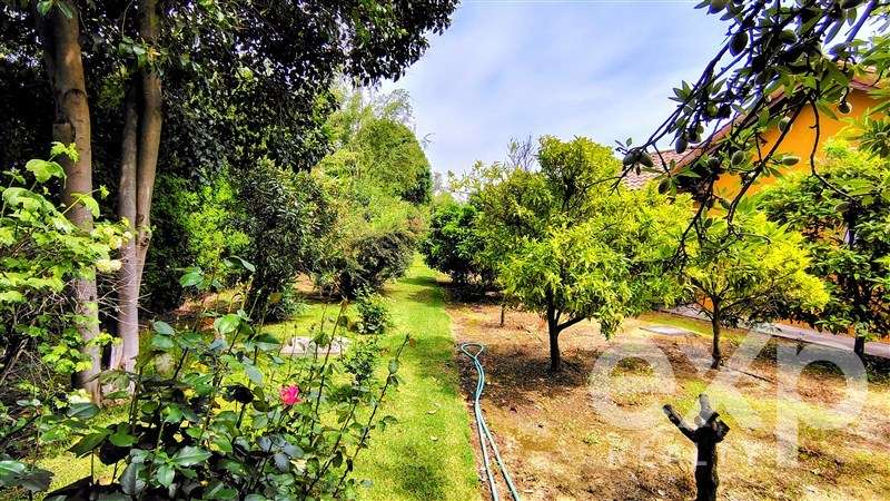 Parcela en venta en Olmué. Casa de 140 m2 con piscina. - Imagen 36