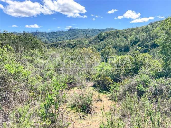 Terreno Construccion en venta en Florida