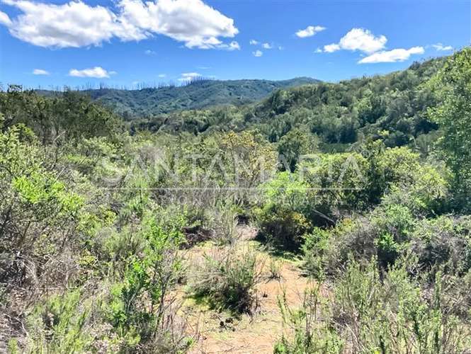 Terreno Construccion en venta en Florida