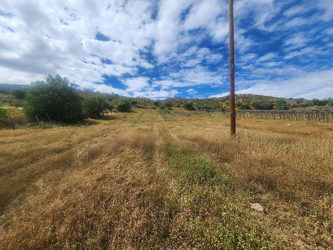 Venta de terreno agrícola de 10.000 m² en Combarbalá.