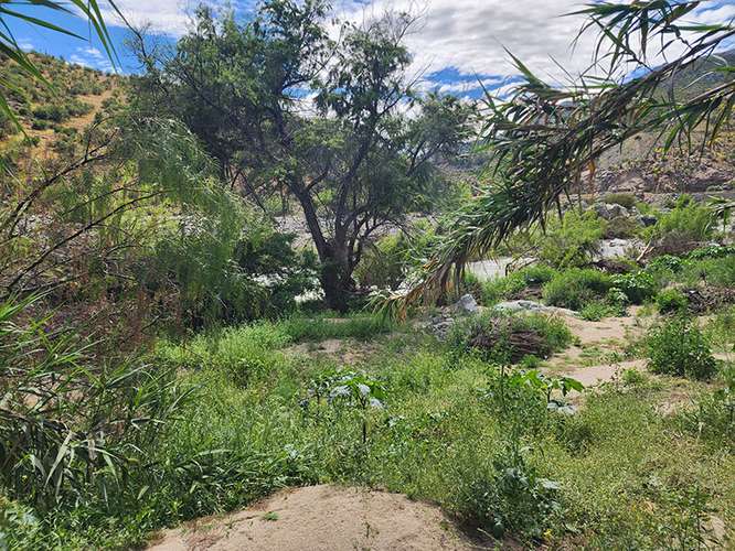 Venta de terreno agrícola de 10.000 m² en Combarbalá.