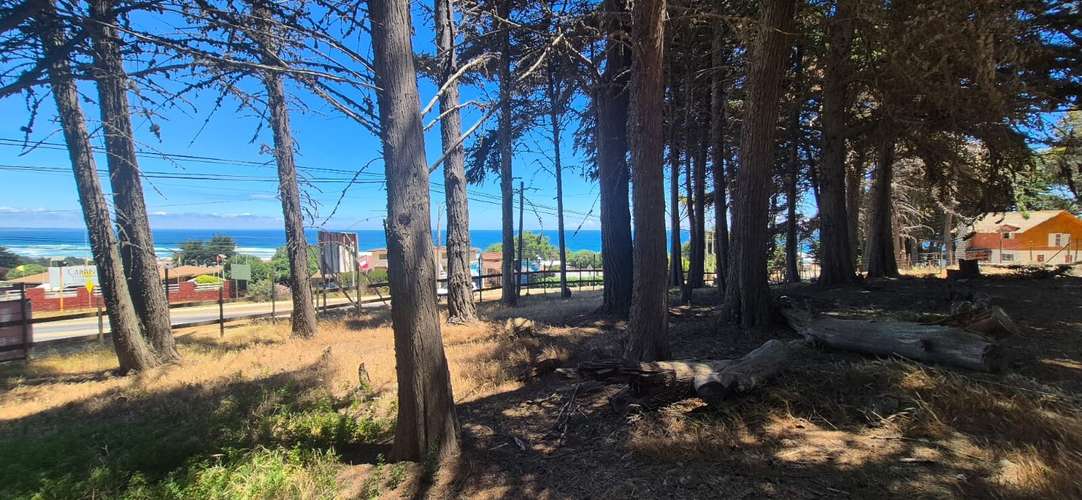 TERRENO AVENIDA SAN MARCOS   1.1 Ha  VISTA AL MAR | EL TABO