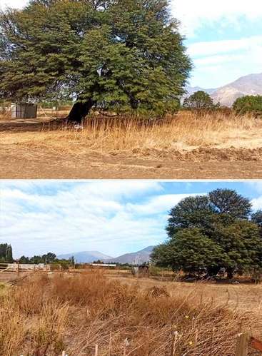 Inversión Ideal en Tranquila Comuna (187982) - Imagen 12