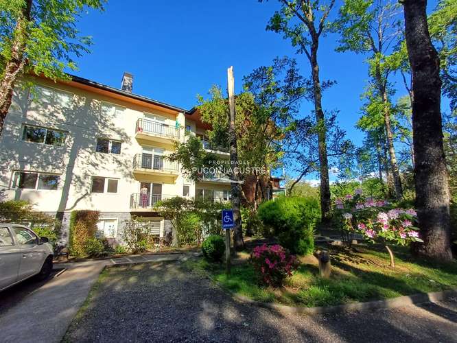 Depto 1 Dormitorio Condominio Pucon Andino (187998)