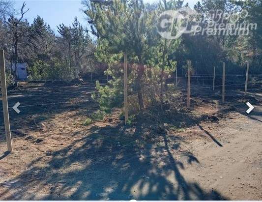 Parcela en venta en Pucón - Imagen 3