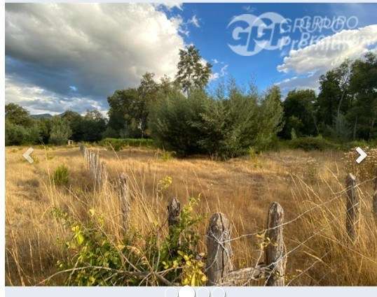Parcela en venta en San Fabián - Imagen 3
