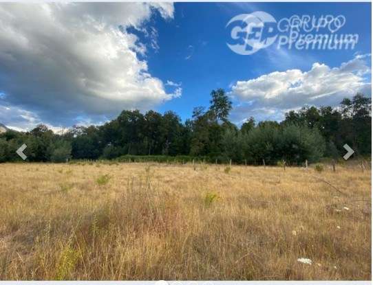 Parcela en venta en San Fabián - Imagen 4