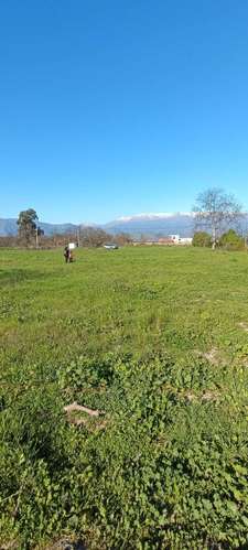Espacio Ideal para Desarrollo de Tu Proyecto (187857) - Imagen 4