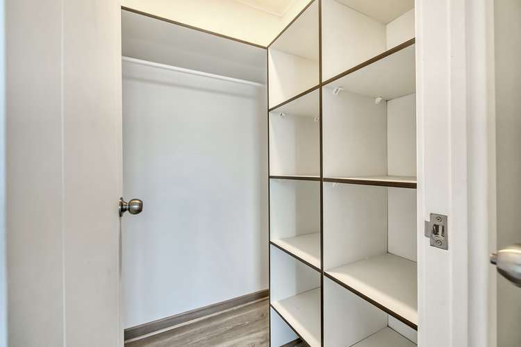 Matucana [1283-1] - Imagen 7