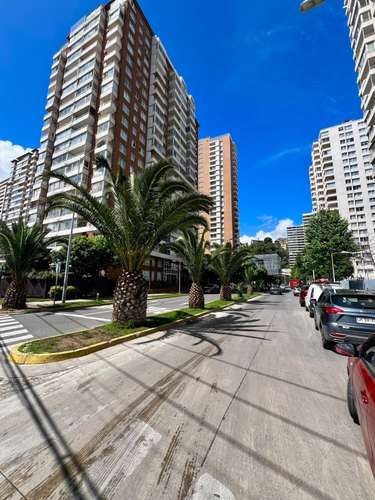 Hermoso Y amplio Departamento Plan Viña