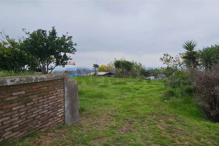 Parcela 5.000 m² con casa y  piscina melipilla - Imagen 27