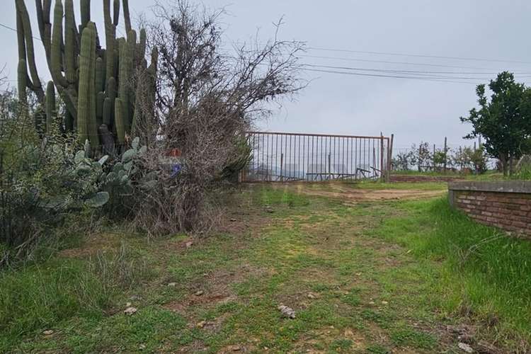 Parcela 5.000 m² con casa y  piscina melipilla - Imagen 28
