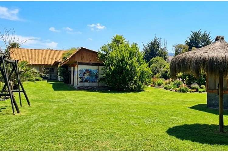 Parcela de agrado bollenar melipilla - Imagen 19