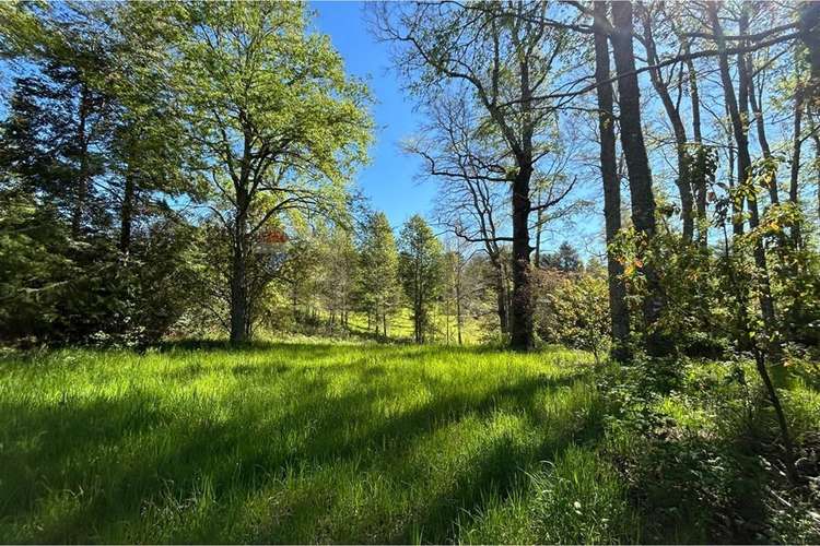 Venta parcela con canal de aguas pucon