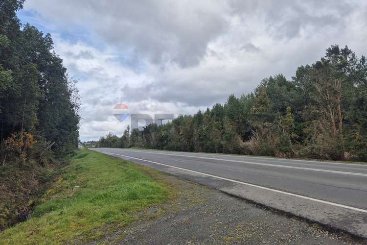 Venta de casa-costa terao/chonchi-chiloe - Imagen 23
