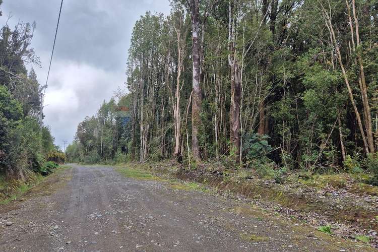 Venta de casa-costa terao/chonchi-chiloe - Imagen 18