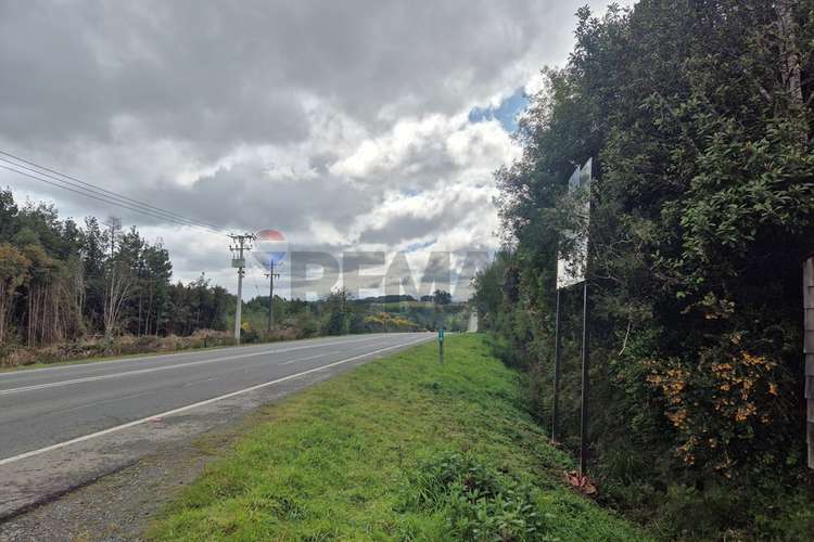 Venta de casa-costa terao/chonchi-chiloe - Imagen 24