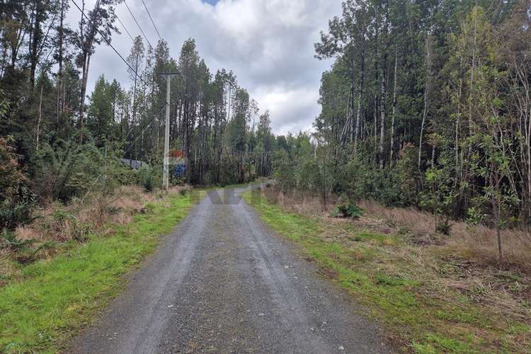 Venta de casa-costa terao/chonchi-chiloe - Imagen 21