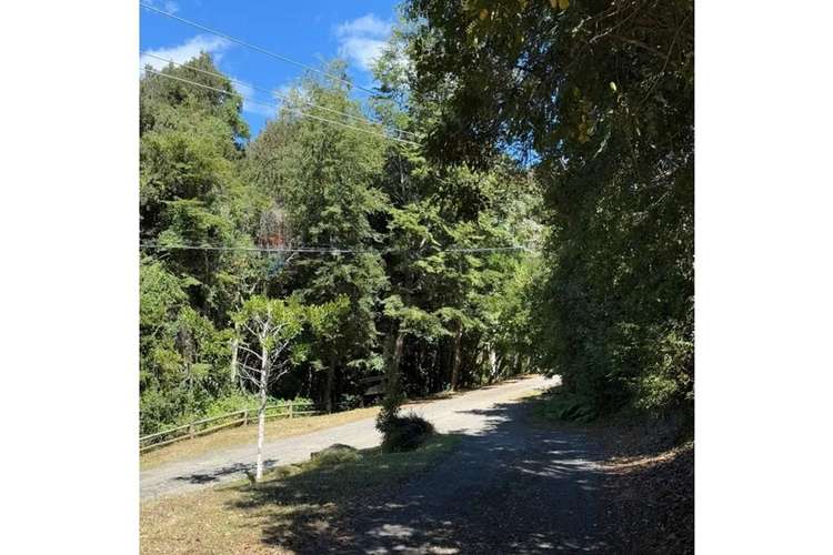 Oportunidad parcela villarrica - Imagen 6