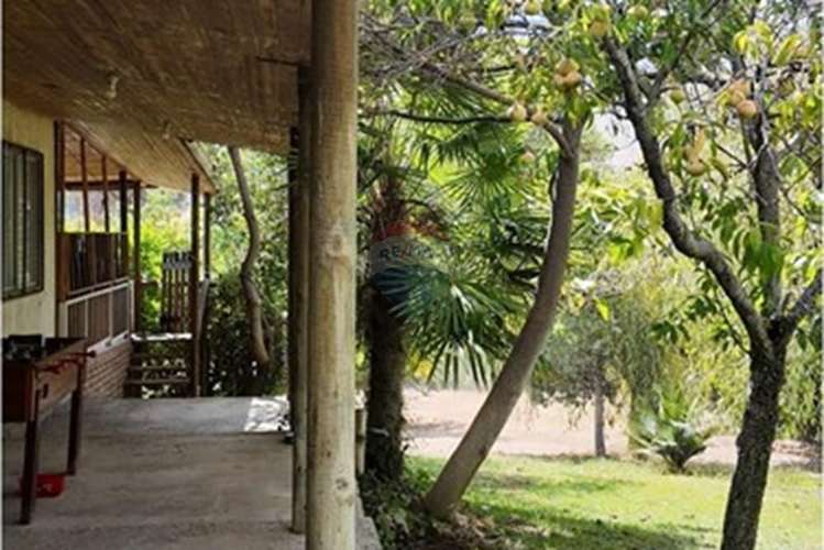 Arriendo parcela  en el sauce, san pedro melipilla - Imagen 2