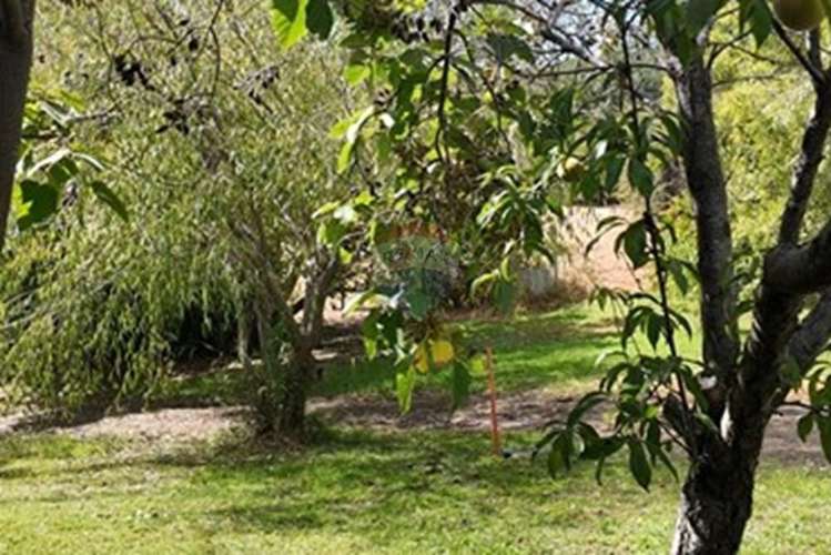 Arriendo parcela  en el sauce, san pedro melipilla - Imagen 19