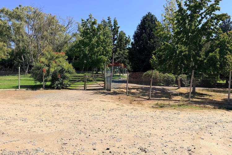 Arriendo parcela  en el sauce, san pedro melipilla - Imagen 37