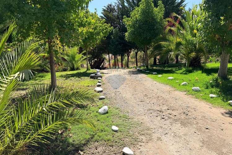 Arriendo parcela  en el sauce, san pedro melipilla - Imagen 32
