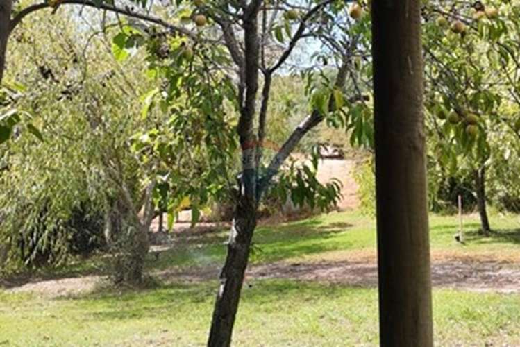 Arriendo parcela  en el sauce, san pedro melipilla - Imagen 18