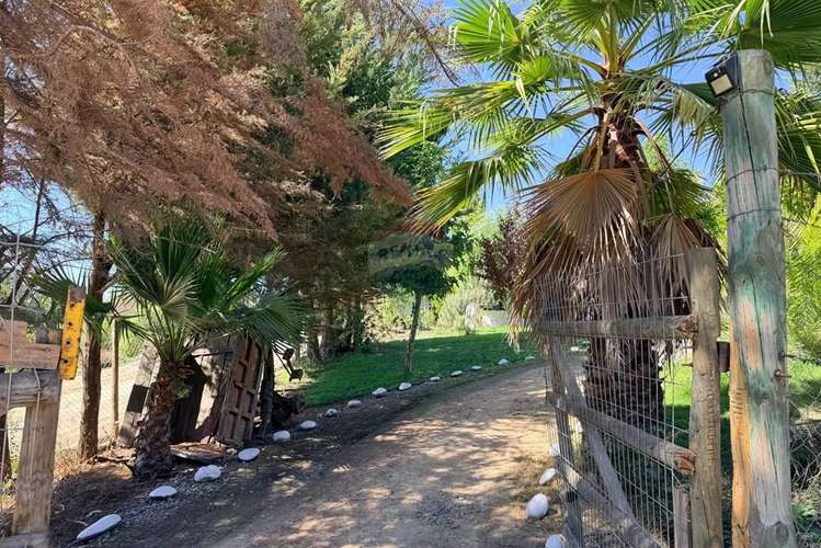Arriendo parcela  en el sauce, san pedro melipilla - Imagen 34