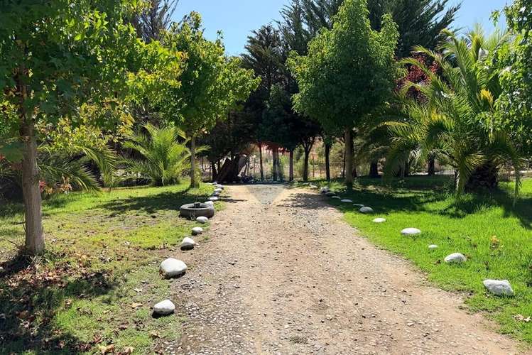 Arriendo parcela  en el sauce, san pedro melipilla - Imagen 4