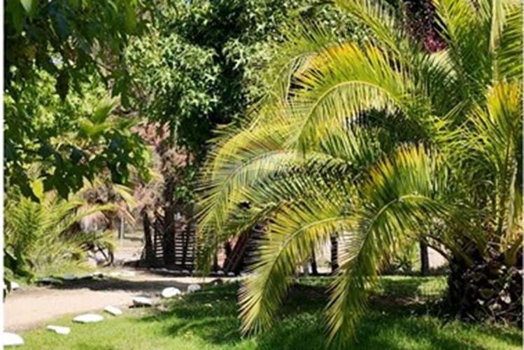 Arriendo parcela  en el sauce, san pedro melipilla - Imagen 6