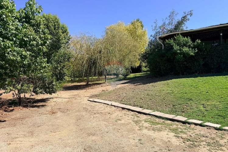 Arriendo parcela  en el sauce, san pedro melipilla - Imagen 35