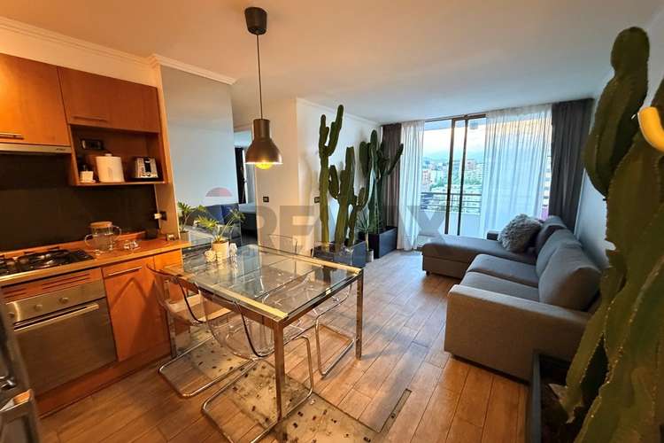 Venta depto 2d2b 1e & 1 bodega providencia - Imagen 15