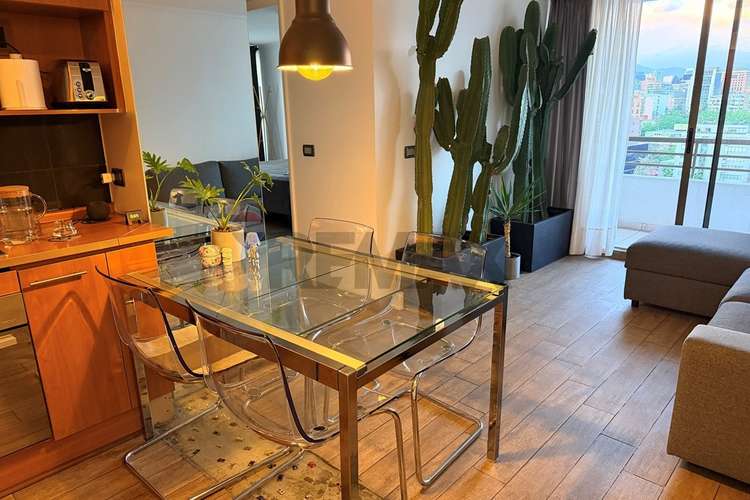 Venta depto 2d2b 1e & 1 bodega providencia - Imagen 14