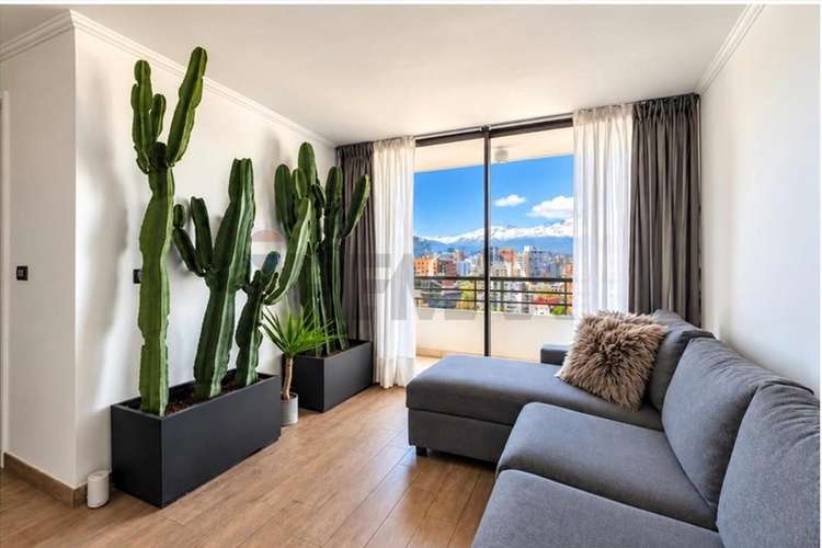 Venta depto 2d2b 1e & 1 bodega providencia - Imagen 7