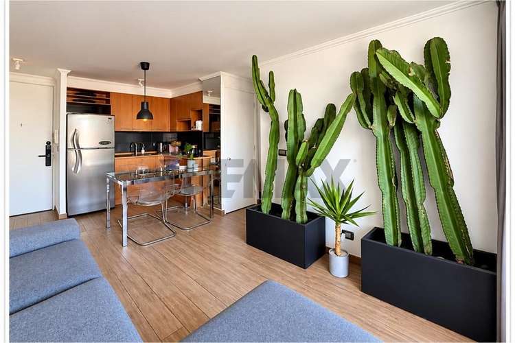 Venta depto 2d2b 1e & 1 bodega providencia - Imagen 6