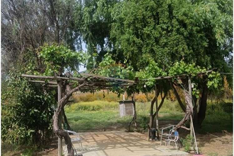 Bajamos precio parcela 7d san pedro - melipilla - Imagen 18