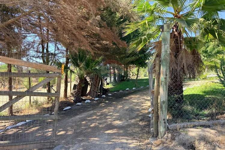Bajamos precio parcela 7d san pedro - melipilla - Imagen 3