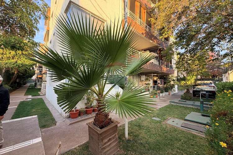 Depto 48 m² 3d 1b  - la florida - Imagen 17