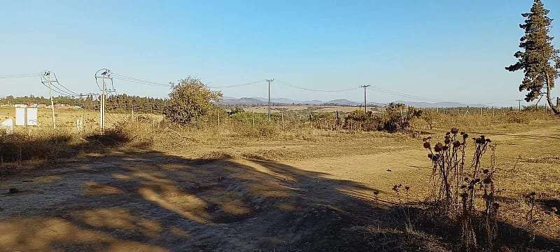 Industrial en venta · San Antonio
