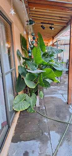 Casa en venta · Los Andes - Imagen 13