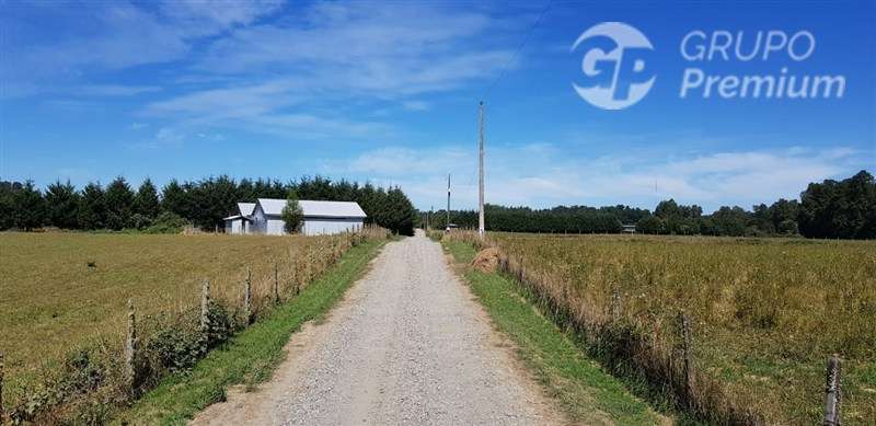 Venta de Parcelas en Región de Los Lagos - Imagen 11