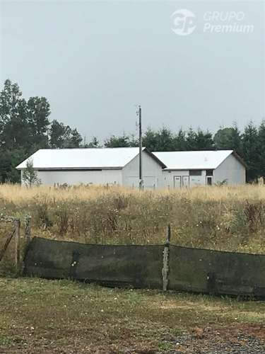 Venta de Parcelas en Región de Los Lagos - Imagen 8