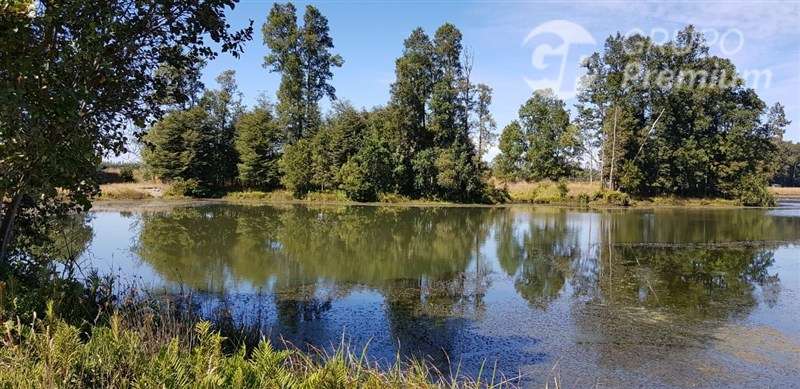 Venta de Parcelas en Región de Los Lagos - Imagen 7